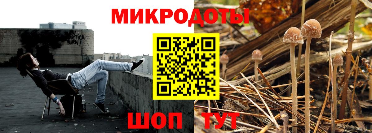 Псилоцибиновые грибы прущие грибы Ессентуки