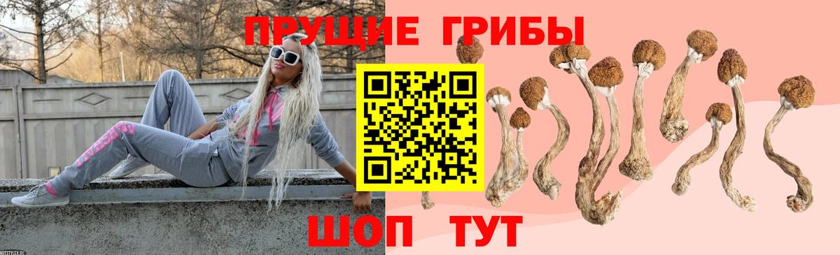 Псилоцибиновые грибы ЛСД  купить наркотики цена  Ессентуки  Вход с VPN 
